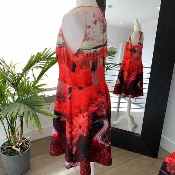 Ted Baker Skater dress Bridge to nowhere print size 10 - Picture 3 of 4